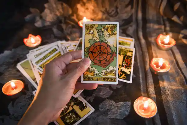 tarot cards Whitehouse